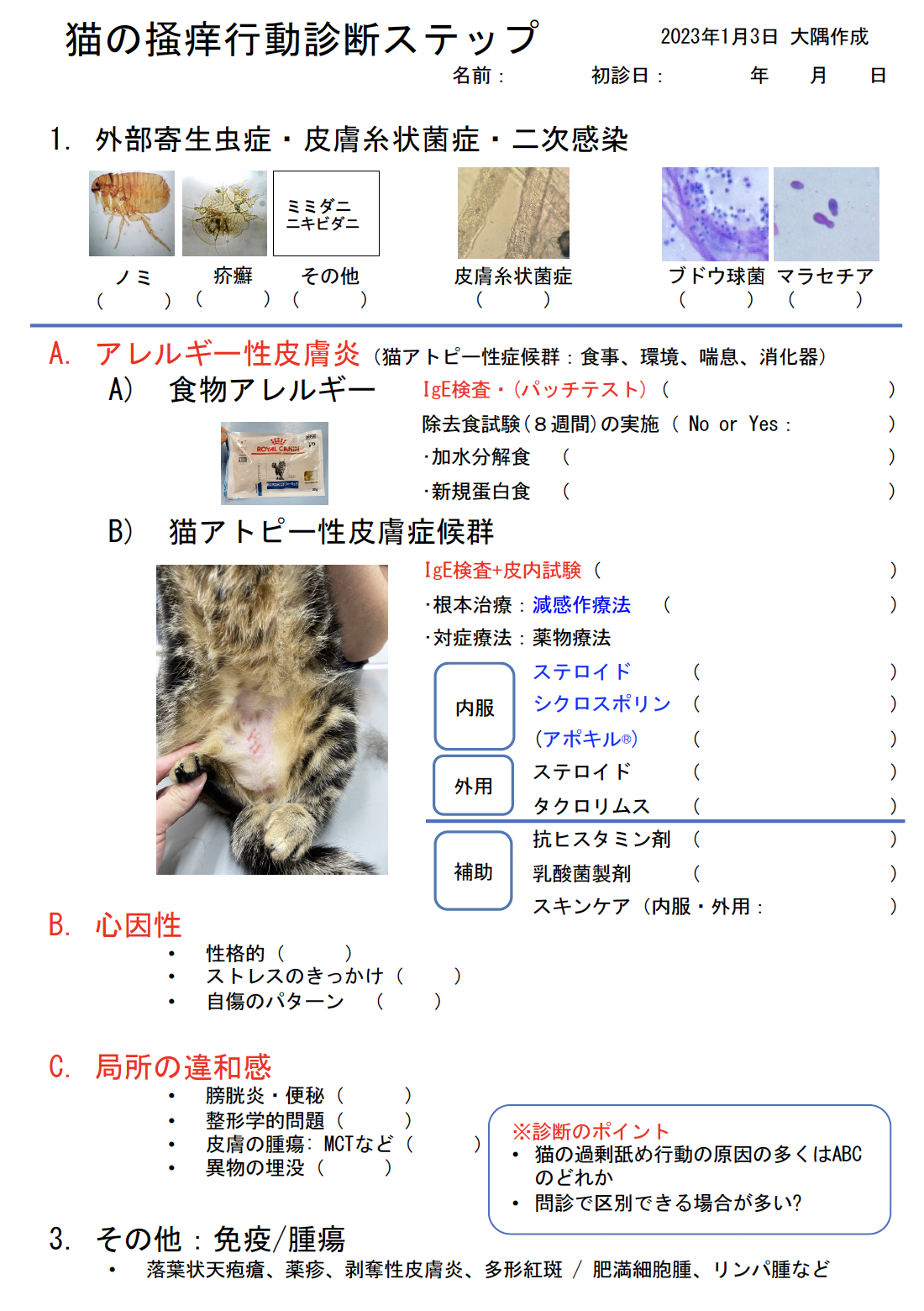 猫の掻痒行動診断・治療ステップ（当院大隅獣医師執筆［皮膚科の処方