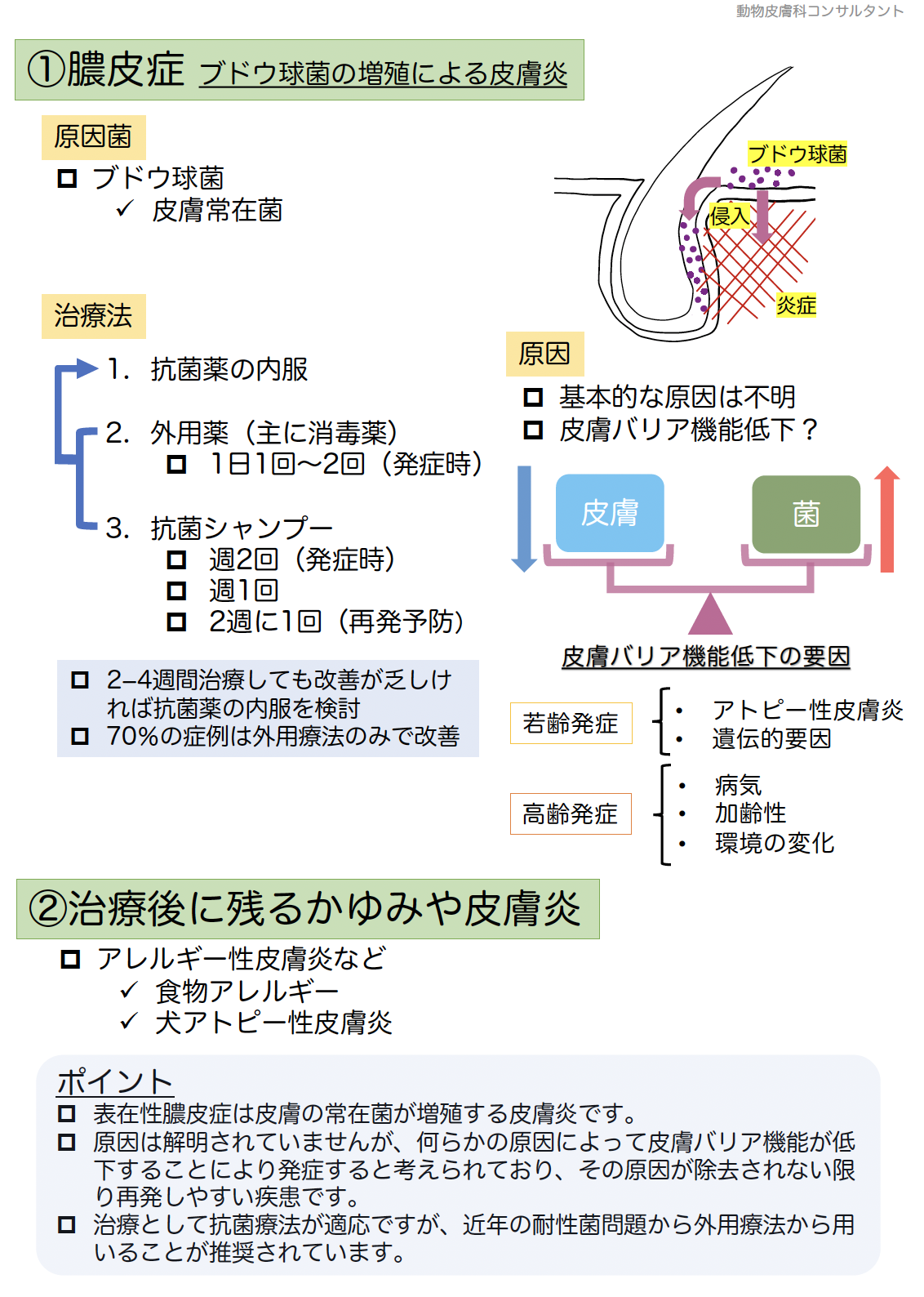 膿皮症の診断・治療（当院大隅獣医師執筆［皮膚科の処方ノート］より