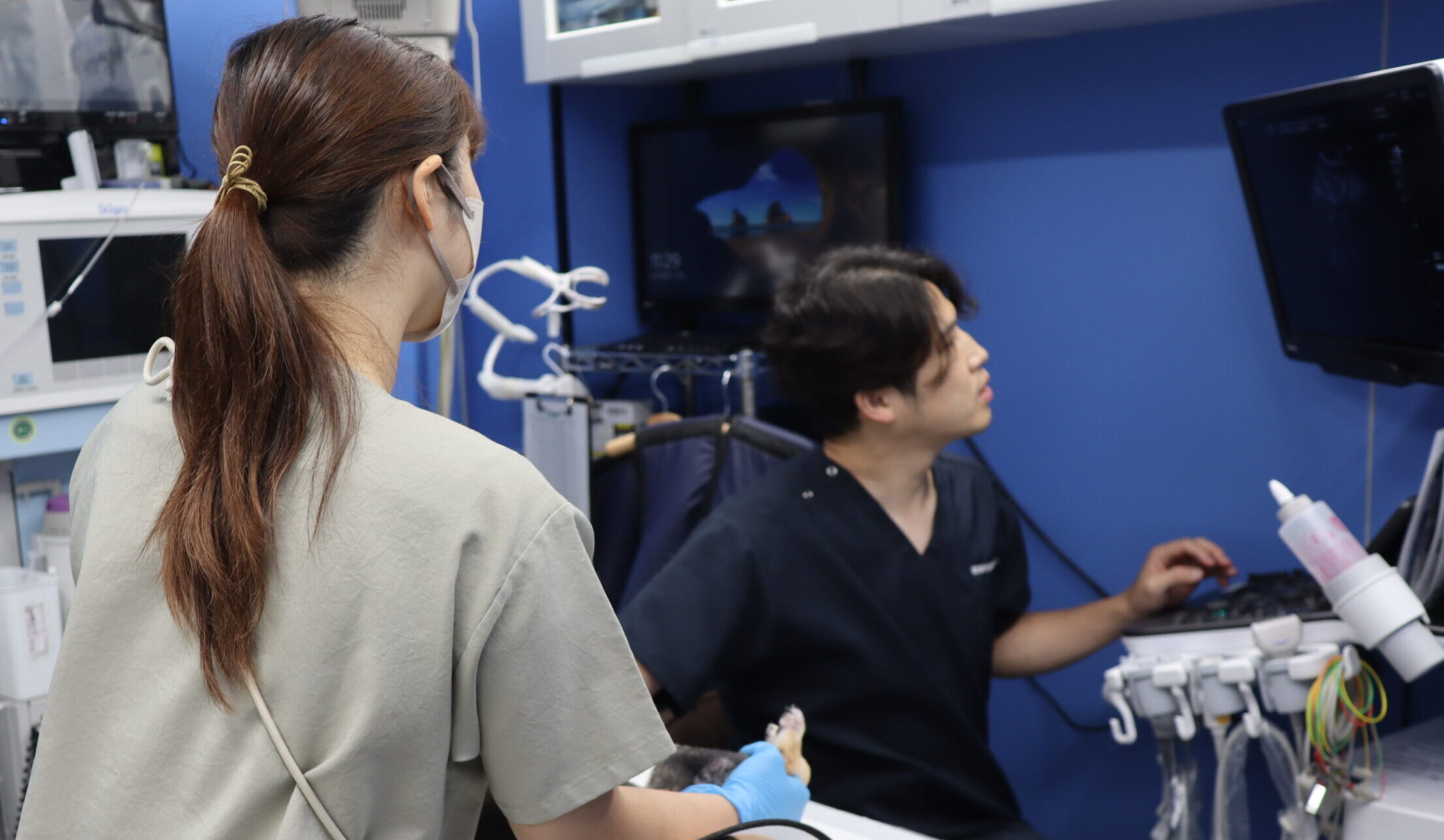 院内検査機器のご紹介：超音波検査（エコー検査） - 東京動物皮膚科